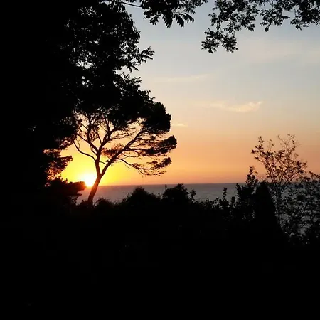 Gianfelici Willa Numana