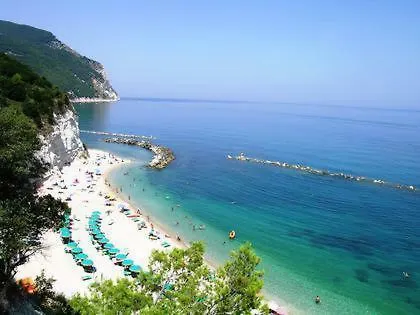 Gianfelici *