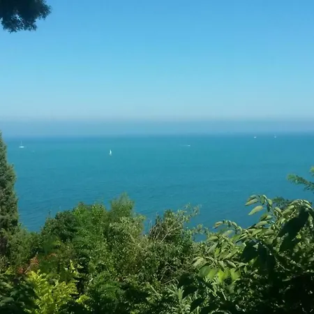 Gianfelici *