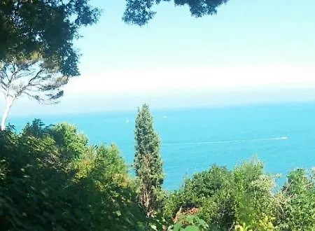 Gianfelici